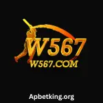 W567 Game